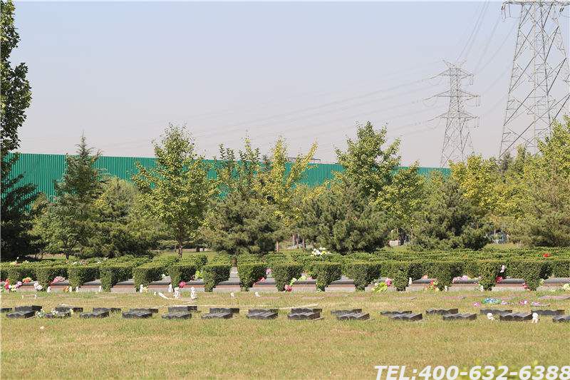 思亲园骨灰林地址在哪里 为什么要选择思亲园