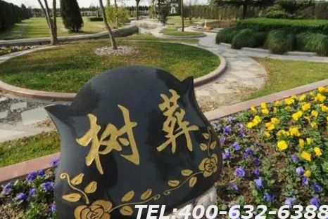 北京申请免费树葬麻烦吗？哪里支持树葬呢？
