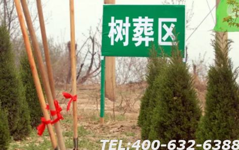 关于树葬去哪办理？哪处陵园支持树葬？