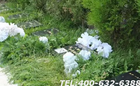 中华永久陵园官网预约通道在哪里？中华永久陵园还有墓地吗？