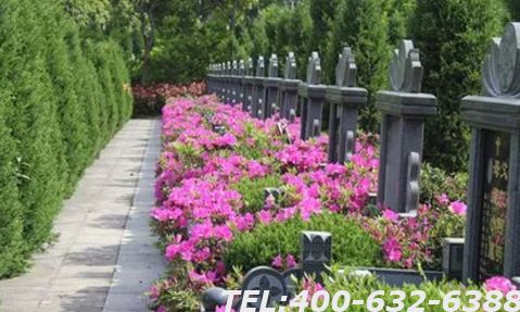 天津玉佛寺寝言墓地多少钱？天津玉佛寺怎么样呢？