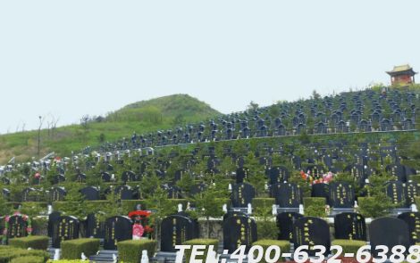 涿州万佛园墓地价格是多少？评价如何呢？
