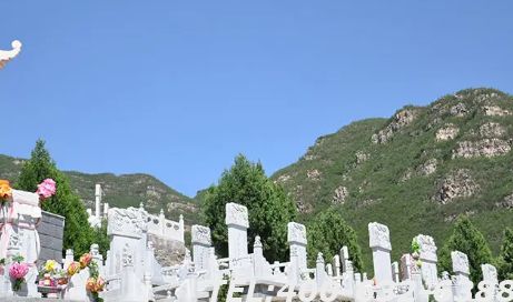 景仰园骨灰林占地面积大吗？有哪些安葬形式？