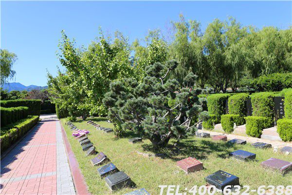 北京墓地多少钱一平方？墓地价格的行情现在贵不贵？