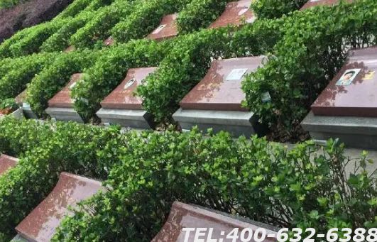 北京十大陵园环境怎么样呢？选购墓地需要注意什么？