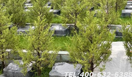 北京普通墓地价格表哪里看？北京普通墓地有哪些？