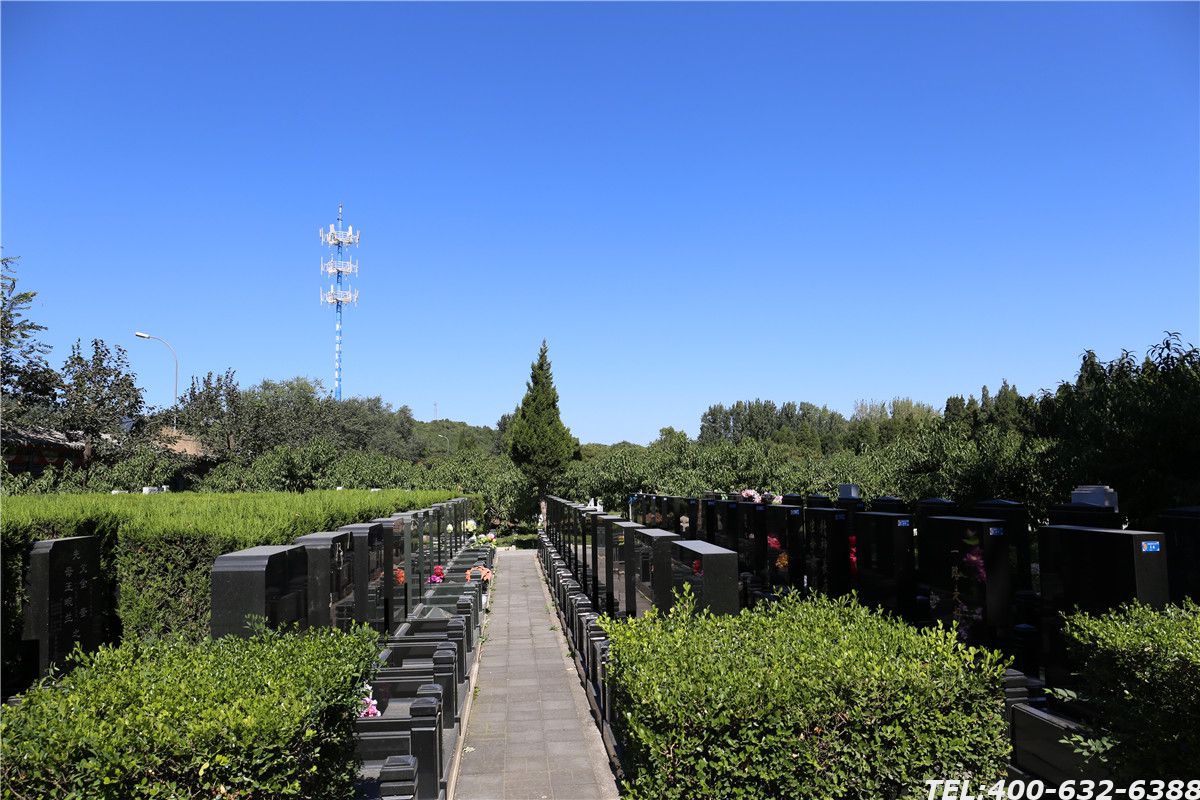 北京市思亲园骨灰林墓地价格是多少？思亲园环境好吗？
