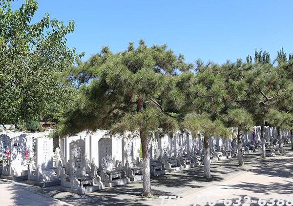 北京市天寿陵园墓地价格多少？交通方不方便？