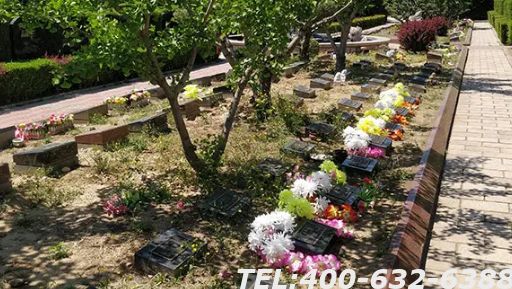 北京树葬陵园墓地有哪些呢？陵园环境怎么样？