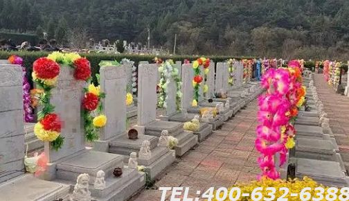 北京树葬墓地怎么样呢？树葬是什么呢？