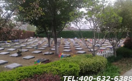 北京顺义墓地价格多少钱一平？在哪里购买？
