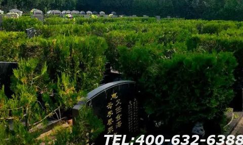 海淀区长安园骨灰林有哪些墓地类型？价格如何？