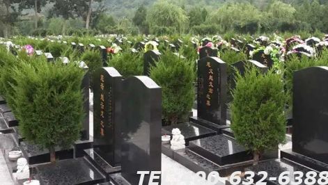 焦作凤凰山陵园价格高不高？多少钱一平米？