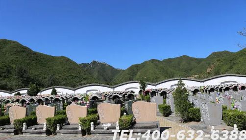 焦作凤凰山陵园电话是多少？如何购买陵园墓地？