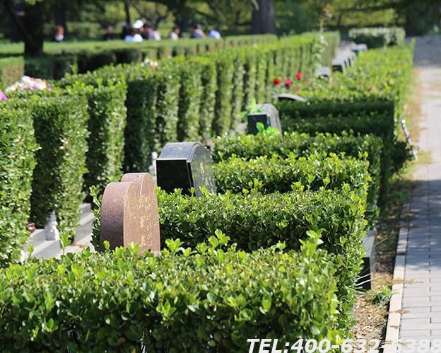 长青园骨灰林基地墓地价格地址电话介绍