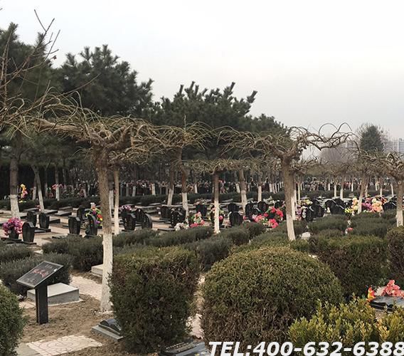 思亲园骨灰林墓地价格地址电话介绍