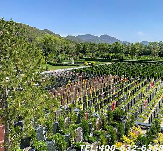 昌平天寿陵园树葬墓地价格地址电话介绍