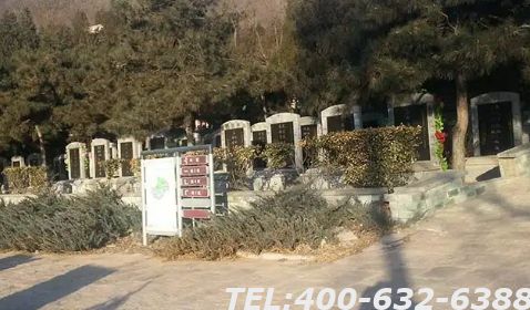温泉墓园续费价格是多少？多久续费一次？