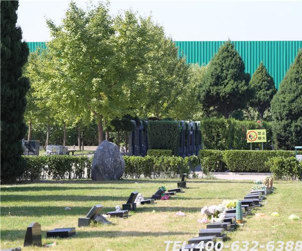 长青园骨灰林基地怎么样？园内面积如何？