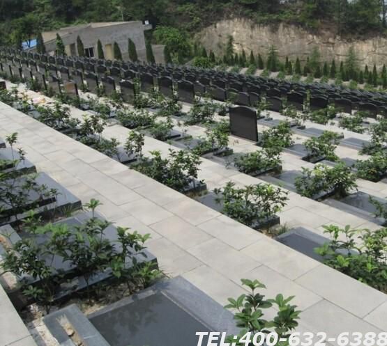 重庆金山陵园怎么样？生态环境好不好？