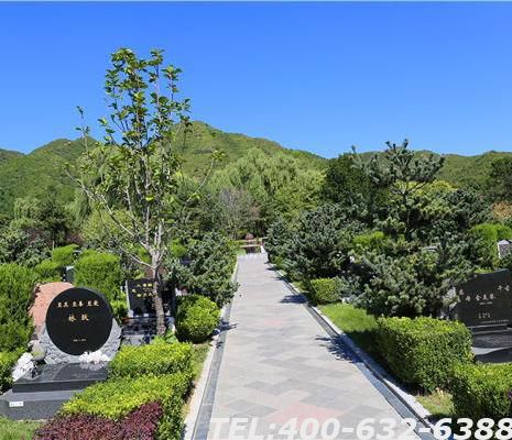 天寿陵园的环境怎么样？价格实惠吗？