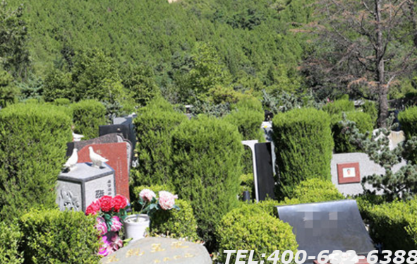密云宝云岭墓园在哪？密云宝云岭有公交车直达吗？