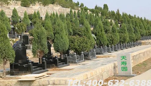 天寿陵园的环境怎么样？跟价格成正比吗？