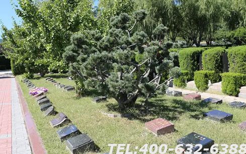 北京香山万安公墓风水怎么样？买哪一块比较好？