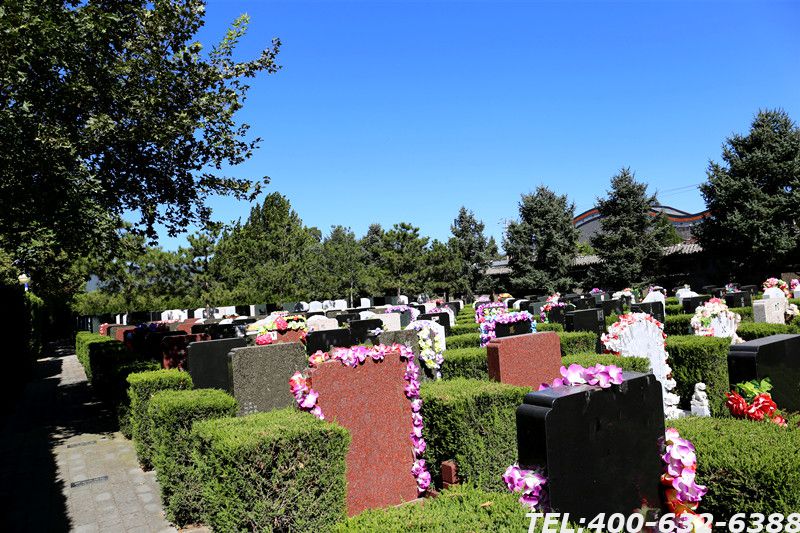 天寿陵园墓地有期限吗？墓地管理费怎么交？