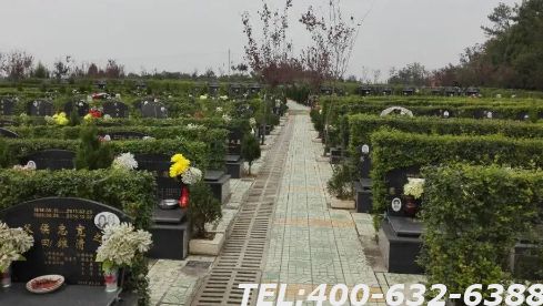 金山陵园多少钱？墓地数量多不多？