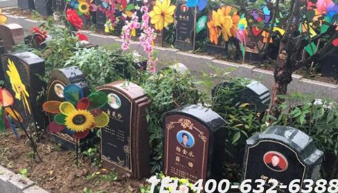 金山陵园塔位价格算贵吗？现在买的人多不多？