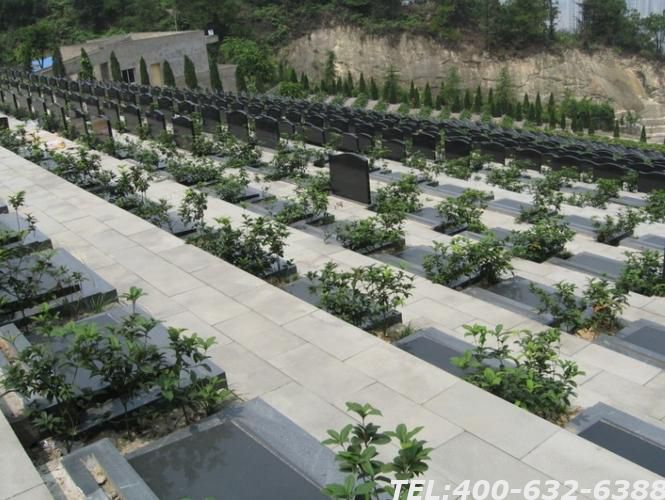 忻州金山陵园电话是多少 忻州金山陵园价格便宜吗