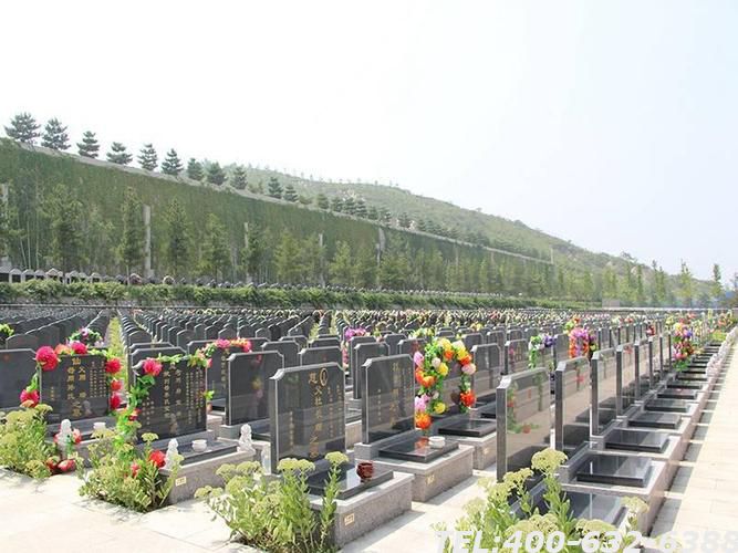 忻州金山陵园价格贵吗 忻州金山陵园环境怎么样