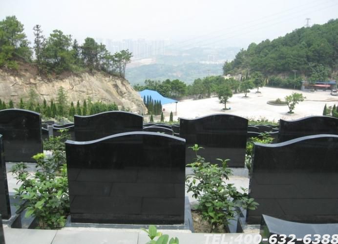 信阳市金山陵园电话查找途径 金山陵园使用期限