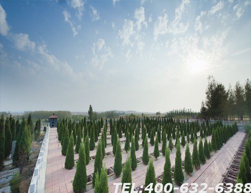 忻州金山陵园预约扫墓方式有哪些 如何选择墓地