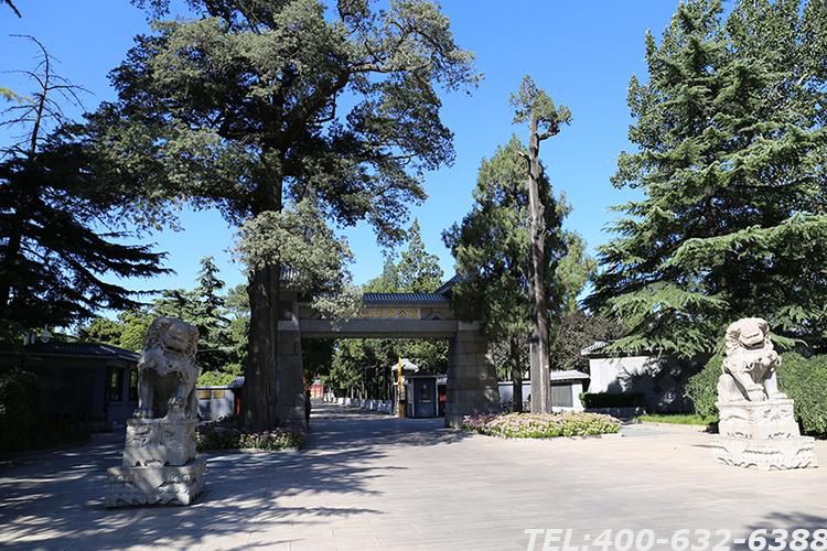 八宝山革命公墓骨灰堂电话怎么找 骨灰堂安葬条件