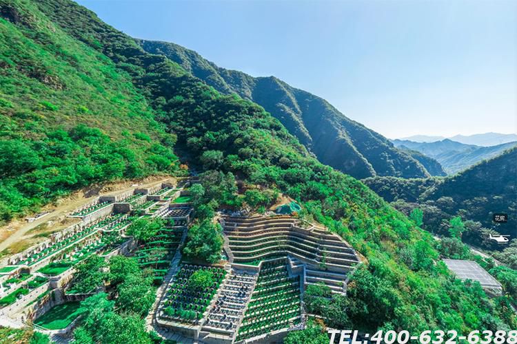 北京九公山长城纪念林有限公司怎么样 北京九公山长城纪念林价格