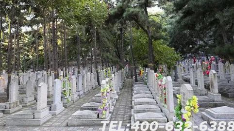 九公山长城纪念林有限公司怎么样？九公山长城纪念林有哪些碑型？