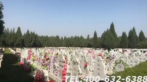 金山陵园需要预约吗？之后要注意什么？