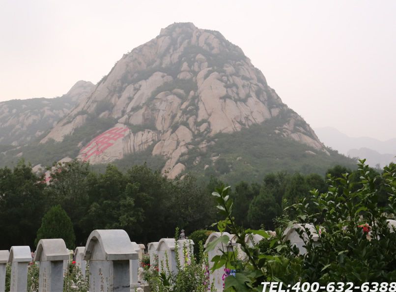 万佛山陵园电话靠谱吗，如何才能避免是诈骗电话