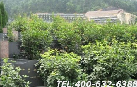 北京佛山陵园墓地价格表是什么呢？选购墓地需要注意什么？