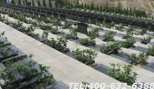 信阳金山陵园电话从哪能找到？陵园能提供哪些服务？