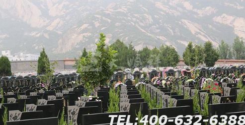 信阳金山陵园火葬场电话从哪找？现在去的话需要排队吗？