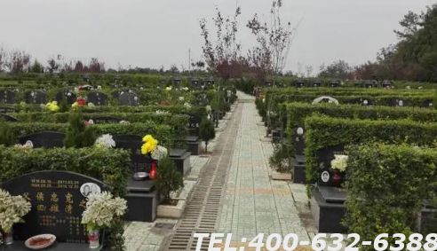 张家界金山陵园班子成员哪几位贡献最大？到金山陵园祭扫要注意什么？