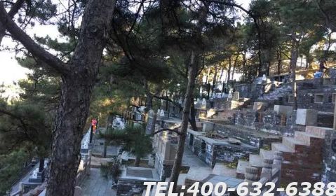 银川金山陵园在哪？金山陵园好不好？
