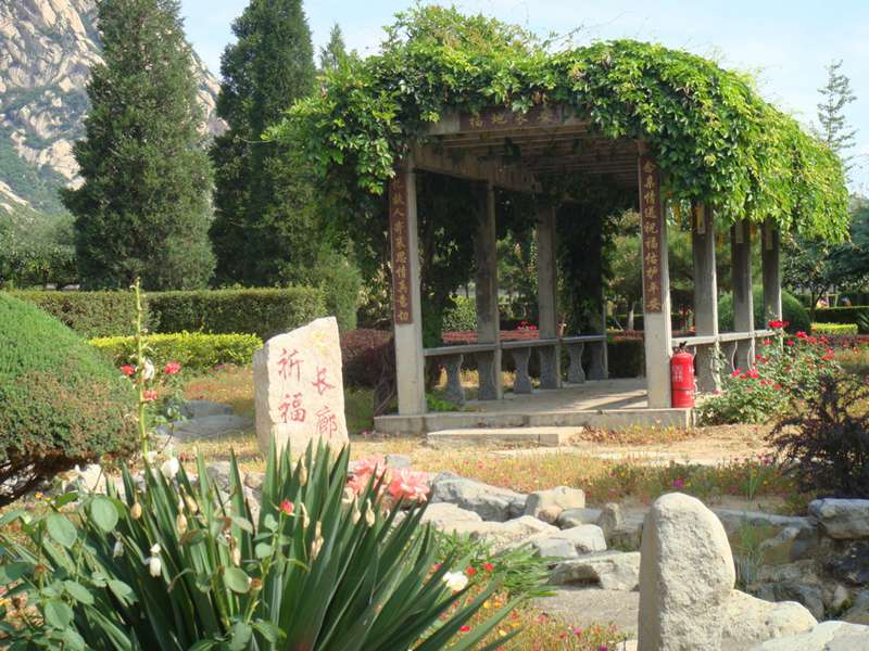 长安园-环境 长安园-环境
