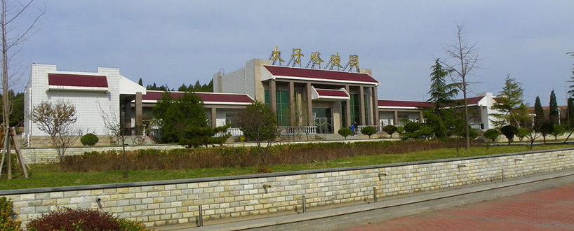 太子峪陵园墓地在哪里?环境优美植被丰富风水好