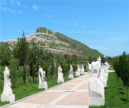 北京合法墓地给五证到底应该是哪五证呢?