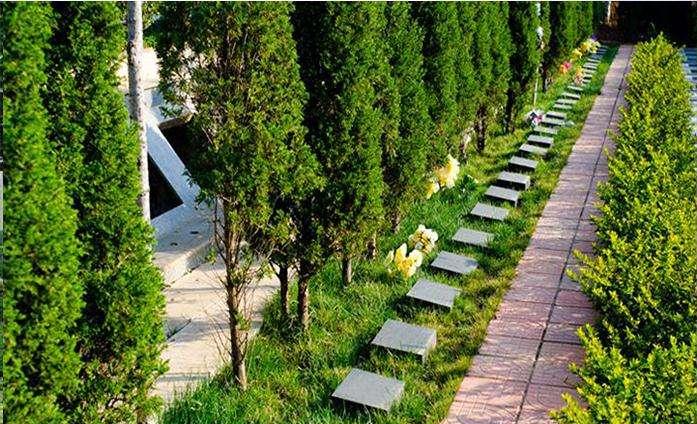 北京墓地20年后每年交多少钱 是否可以转卖