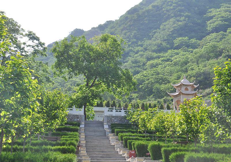 北京市九公山长城纪念林占地面积有多大？
